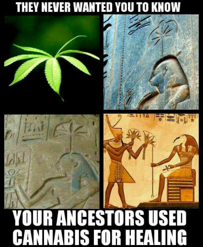 Cannabis_Ancient_Medicine_Egypt.jpg