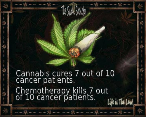 Cannabis_Cures_7_out_of_10_Cancer_Patients.jpg
