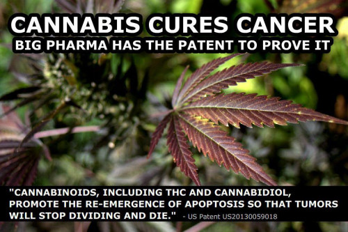 Cannabis_Cures_Cancer.jpg