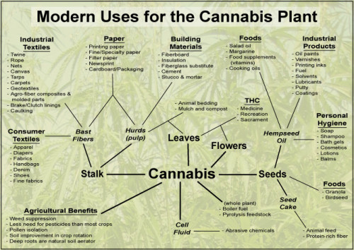 hemp_uses chart.jpg