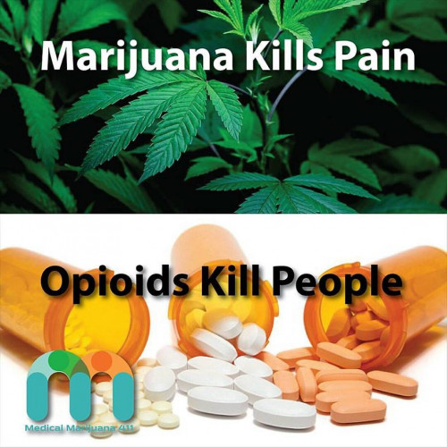 Marijuana_vs_Opioids.jpg
