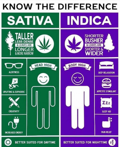 Sativa - Indica.jpg