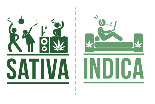 sativa-indica-effects.jpeg
