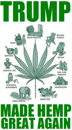 Trump_Hemp.jpg