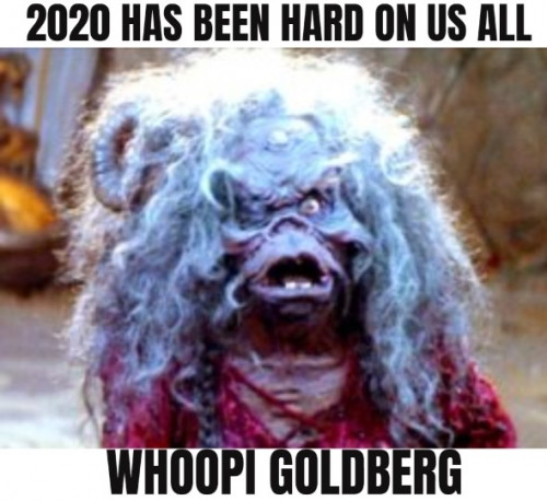2020_hard_on_us_all_whoopi_goldberg_279532_1.jpg