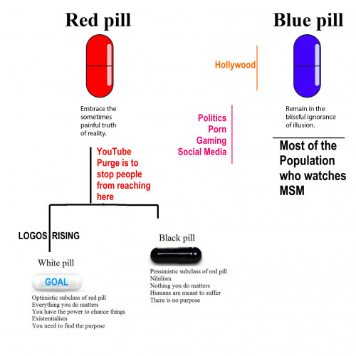 Red_Pill_Blue_Pill_White_Black.jpg