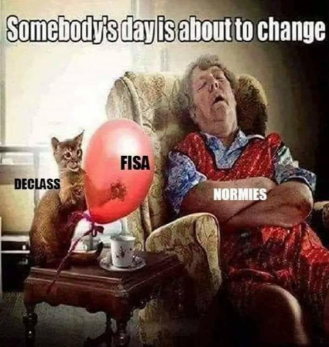 FISA_Declass_Wake_Normies_Cat_Balloon.jpg