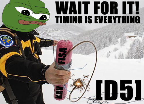 Timing_Is_Everything_FISA_D5.png