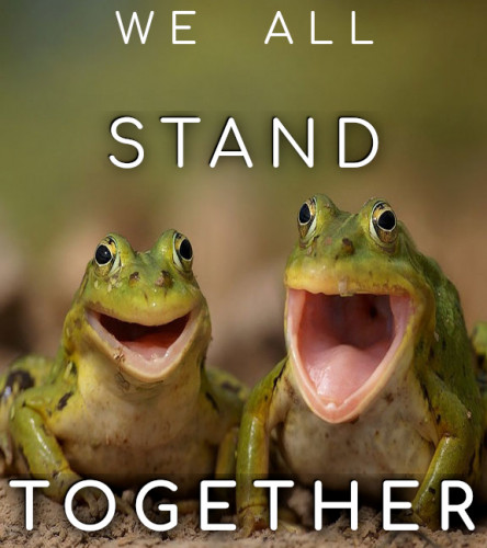 We_All_Stand_Together.jpg