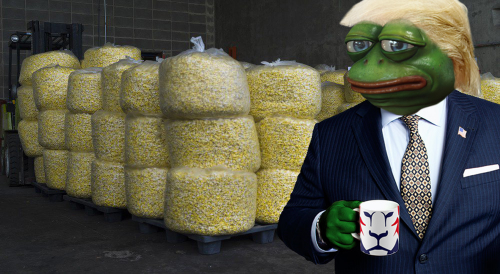 pepe-popcorn-trump.png