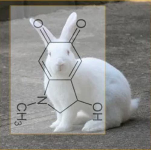 white_rabbit_adrenochrome.png