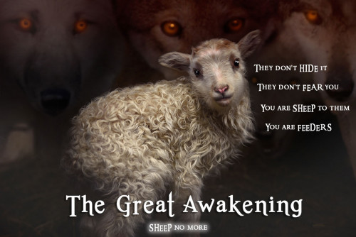 GreatAwakening_Sheep_No_More2.jpg