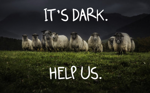 Sheep_It-s_Dark_Help_Us.png