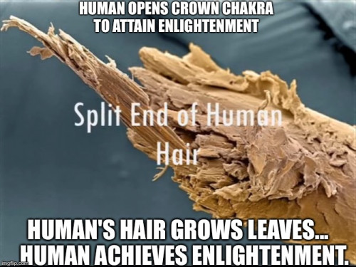 Human_Hair_Enlightenment.jpg