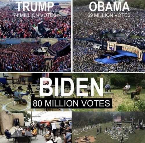 Trump_Obama_Biden_votes.jpg