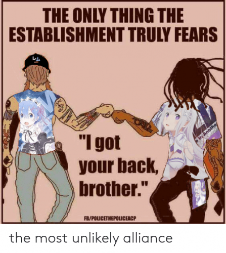 the-only-thing-the-establishment-truly-fears-i-got-your-back-brother.png