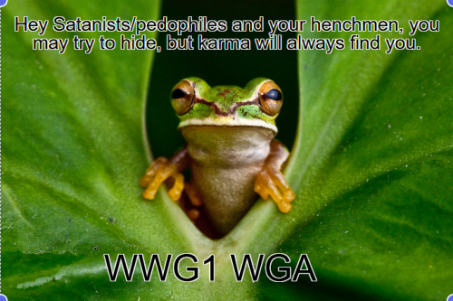 WWG1WGA_Karma.png