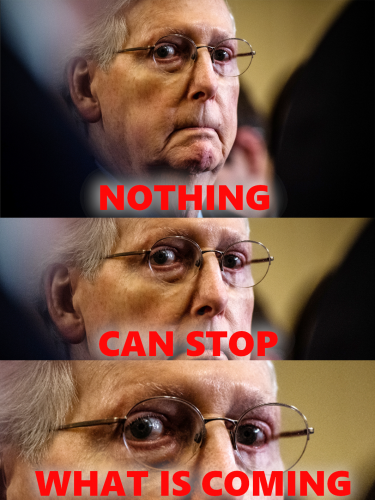 Mitch_Nothing_Can_Stop_What_Is_Coming.png