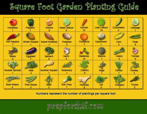 Square_Foot_Garden_Planting_Guide.jpg
