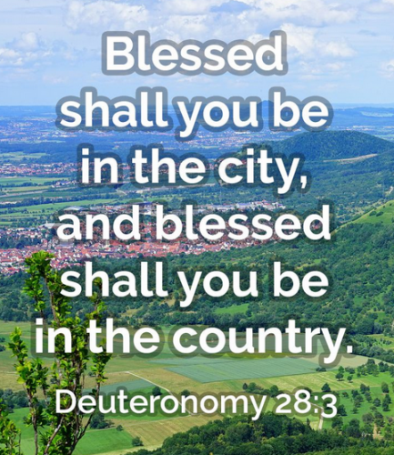 Deuteronomy_28-3.png