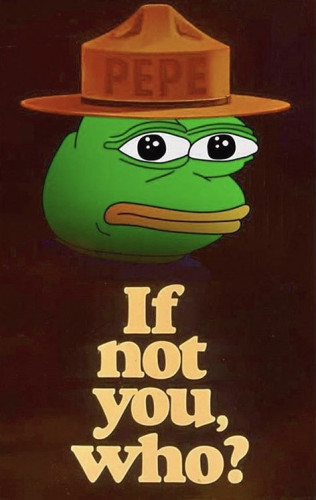 Pepe_If_Not_You_Who.jpg