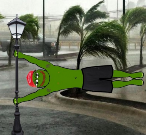 pepe-storm-pole.png