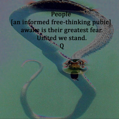 Q_United_We_Stand.png