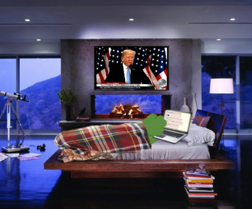 pepe-tv-bed.png