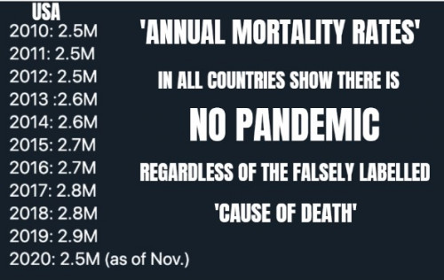 USA_Annual_Mortality_Rates_2010-2020.jpg