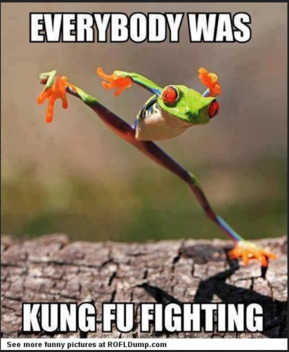 QFrog_Kung_Fu_Fighting.png