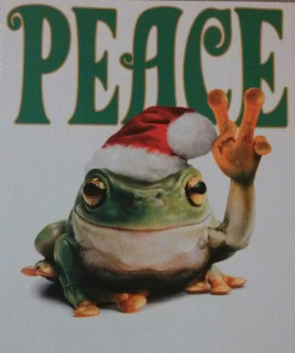 Qfrog_Peace.jpg