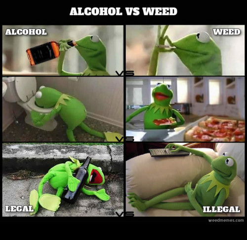 Kermit_Alcohol_vs_Weed.jpg