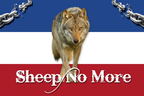 nl-nood-sheep-no-more-03.png