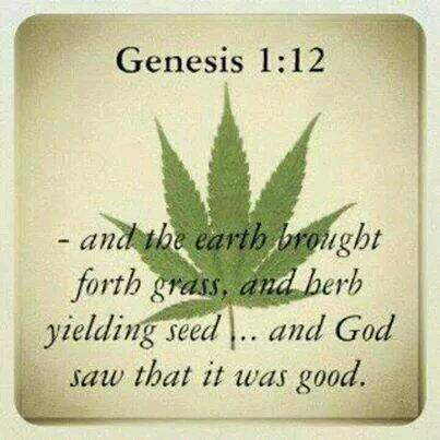 Genesis_1-12_Herb.png