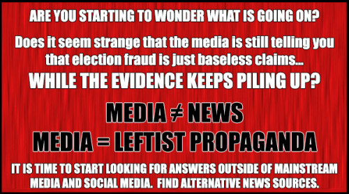 Election_Fraud_Media_Leftist_Propaganda.jpg