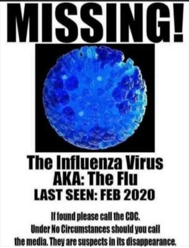 MISSING_The_Flu.jpg