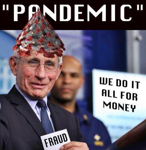 Fauci_Fraud_Pandemic_All_For_Money.jpg