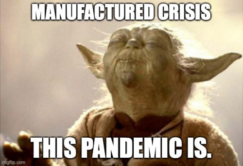 Yoda_Manufactured_Crisis_This_Pandemic_Is.jpg