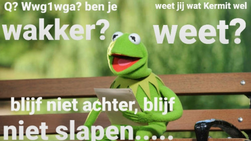 QNL_Kermit_Ben_Je_Wakker.jpg