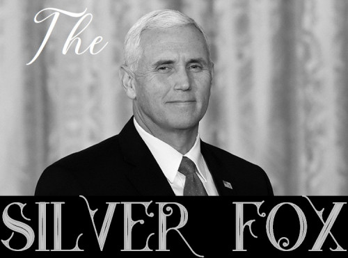 Pence_The_Silver_Fox.jpg