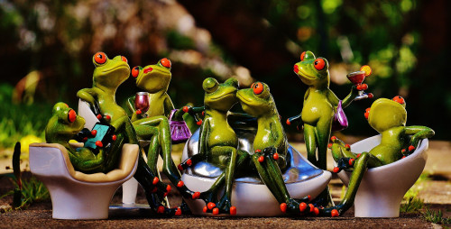 frogs-1364164_1920.jpg