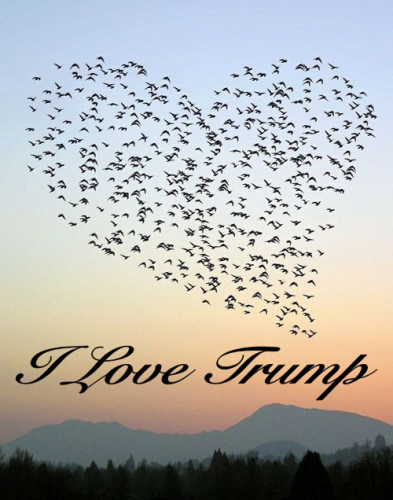 Trump_I_Love_Trump.jpg