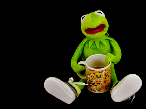 kermit-2671294_1920.png