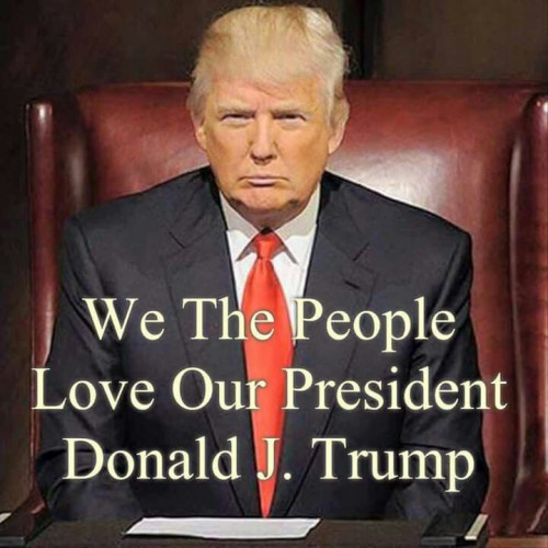 We_The_People_Love_President_Trump.jpg