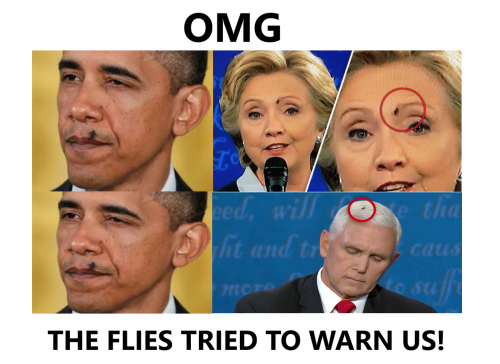 Flies_Tried_To_Warn_Us_EVIL.png