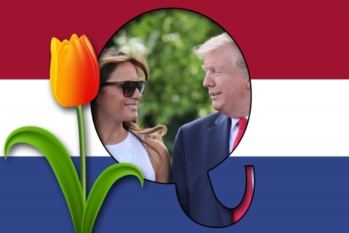 Trump_Melania_Tulip_NL_flag.png