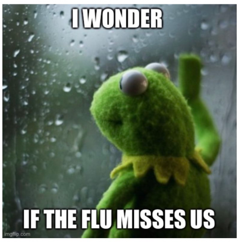 Kermit_I_Wonder_If_The_Flu_Misses_Us.png