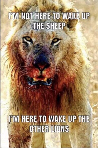 Wake_Up_The_Other_Lions.jpg
