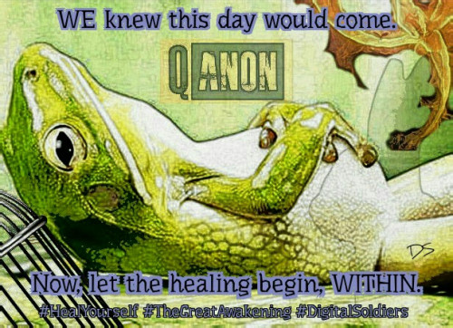 Qfrog_Heal_Yourself.jpg