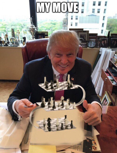 Trump_3D_Chess_My_Move.jpg